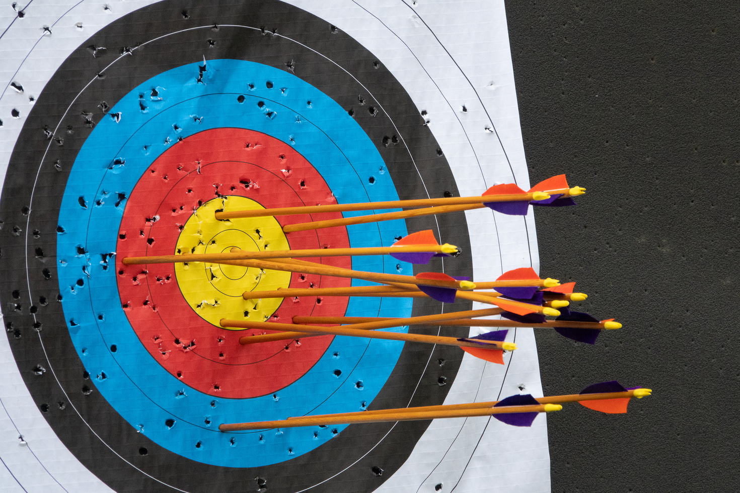 archery practice